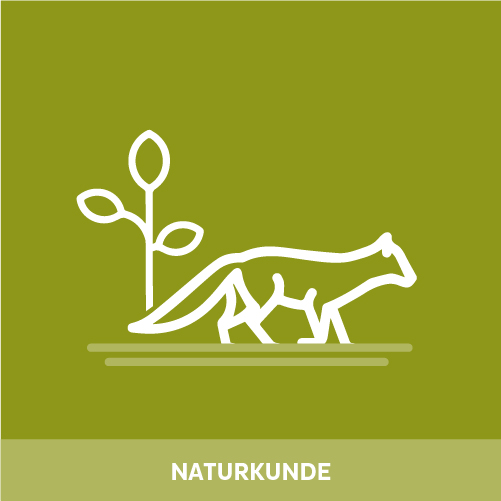Icon Tiere und Pflanzen