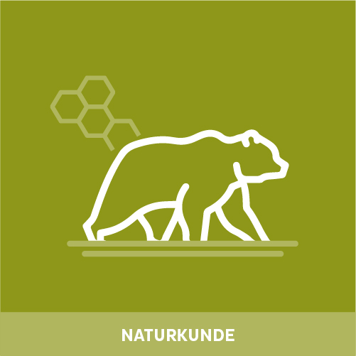 Icon Bär