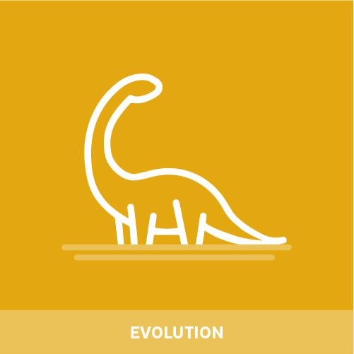 Icon Evolution
