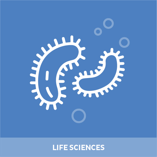 Icon von Viren und Bakterien 