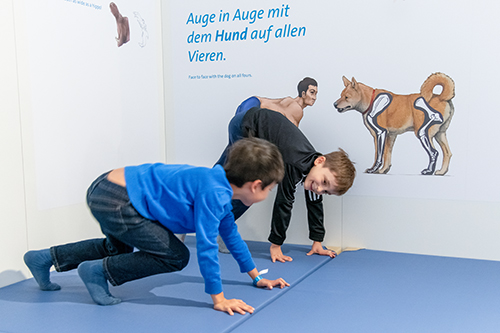 Skleettausstellung_1