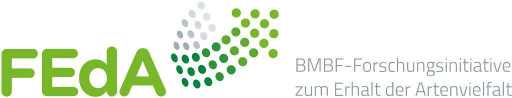 Feda Logo