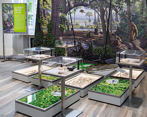 Molassic_Park_Foto_Karina_Hagemann