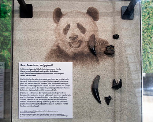 Molassic_Park_Foto_Karina_Hagemann