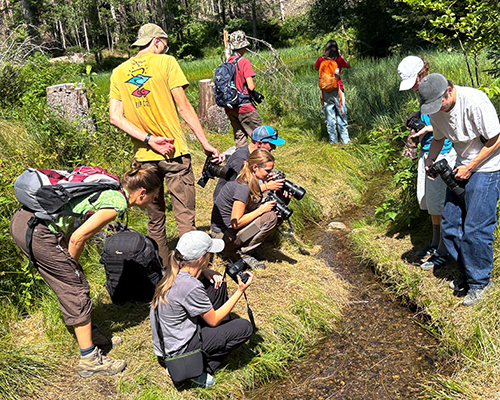 Natur im Fokus, Fotowettbewerb, Kinder, Jugendliche, Bayern